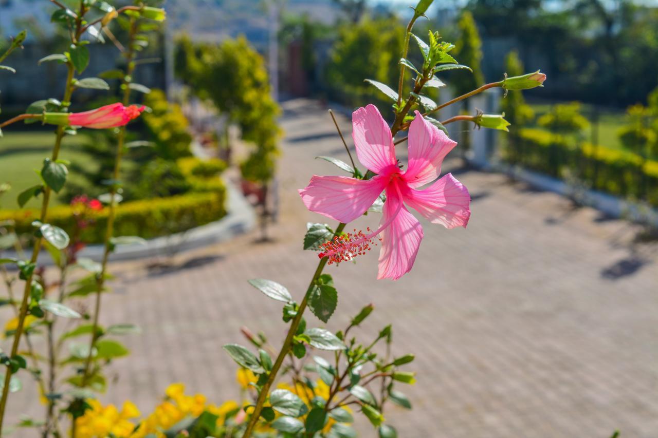 Tiger Hill Homestay Udaipur Esterno foto